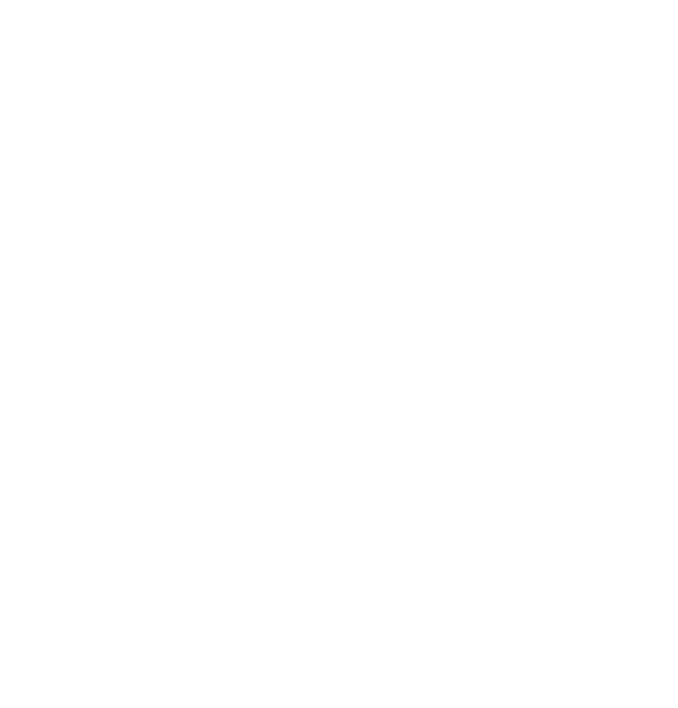 Empresa Segura